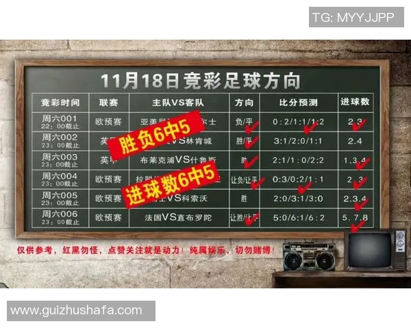 2018年世界杯小组赛丹麦对法国精彩战绩回顾与分析