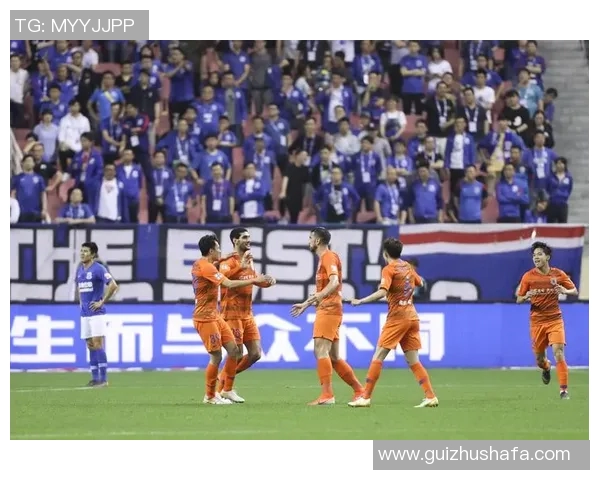 2017年辽宁足球队对阵申花精彩直播回顾与赛后分析